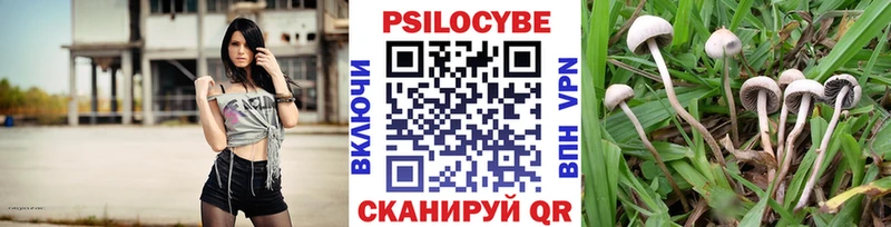 Галлюциногенные грибы Cubensis  что такое   Верхний Уфалей 